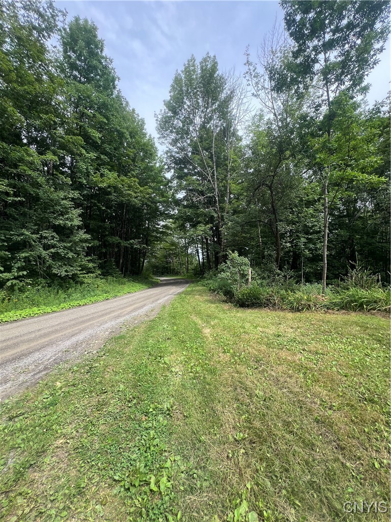 930 Reit Road Otselic, NY 13464 - Photo 10 of 36