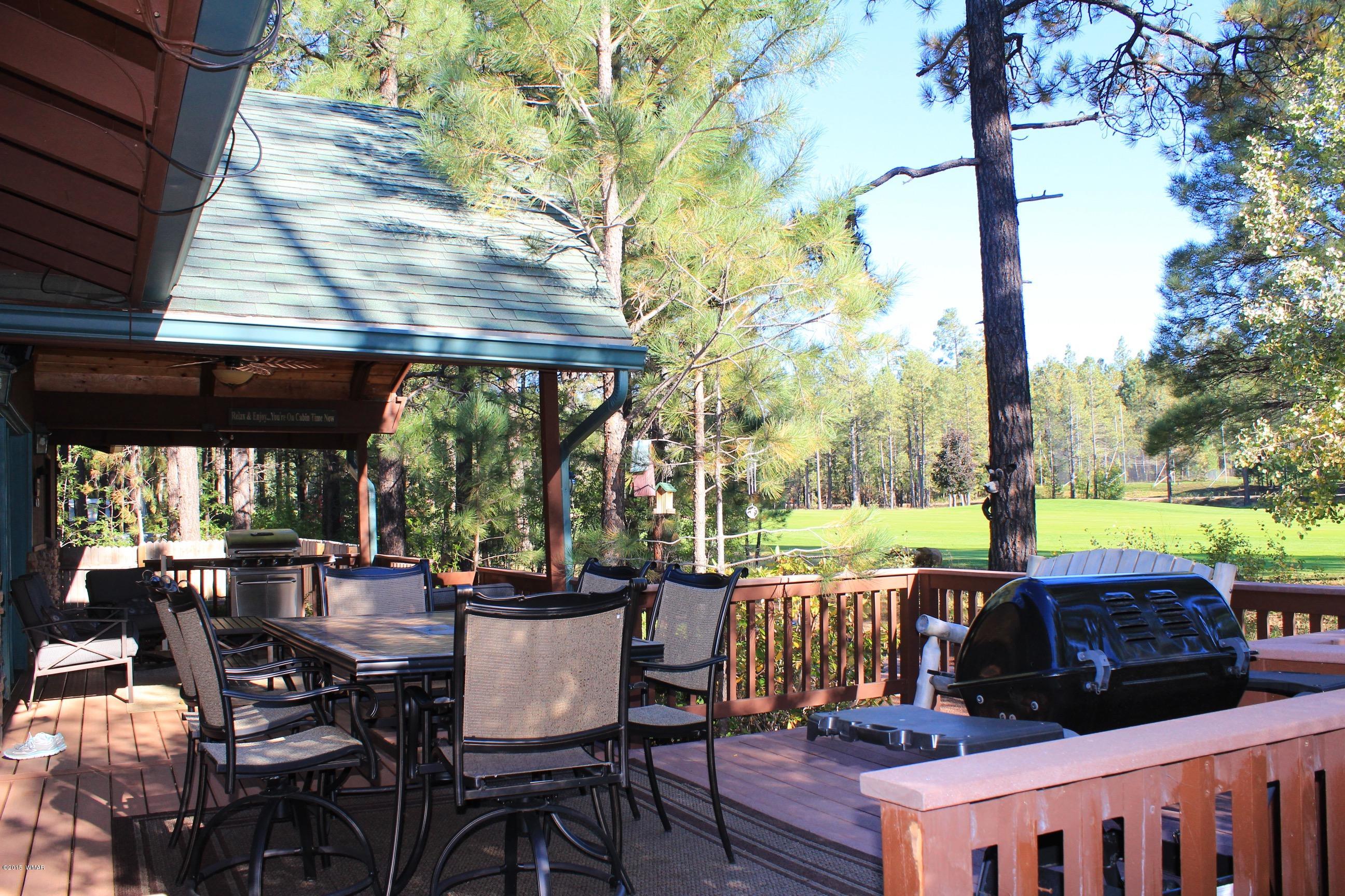 6665 Buck Springs Road Pinetop, AZ 85935 - Photo 26 of 36 Gallery Image 26