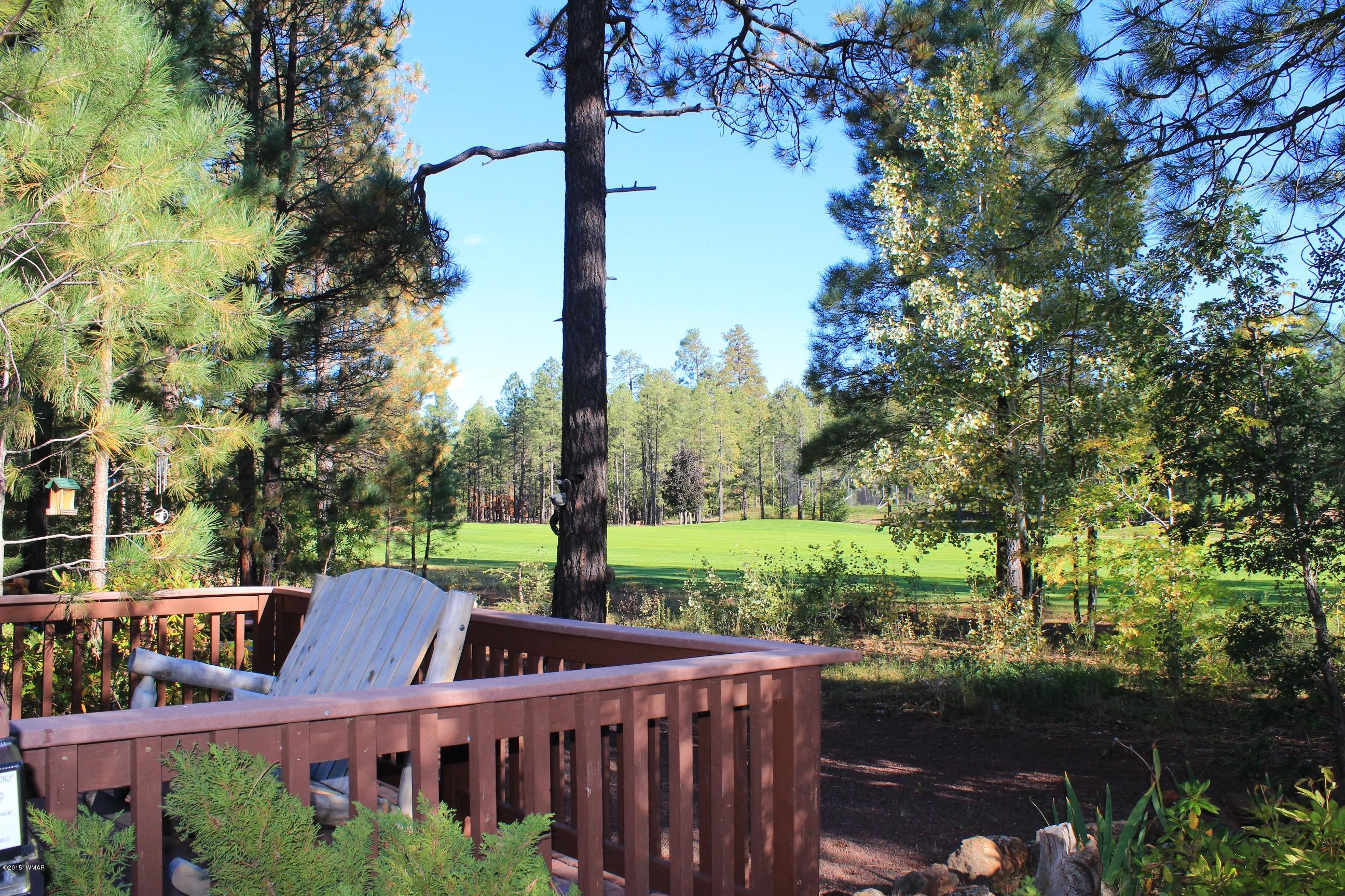 6665 Buck Springs Road Pinetop, AZ 85935 - Photo 27 of 36 Gallery Image 27