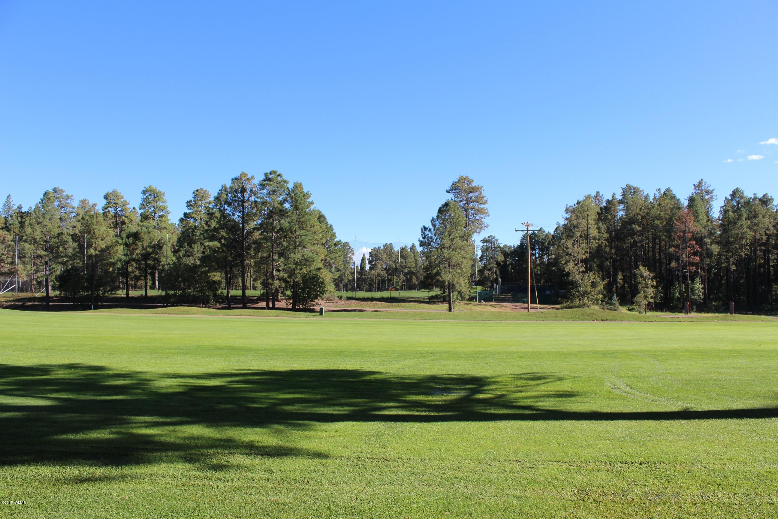6665 Buck Springs Road Pinetop, AZ 85935 - Photo 30 of 36 Gallery Image 30