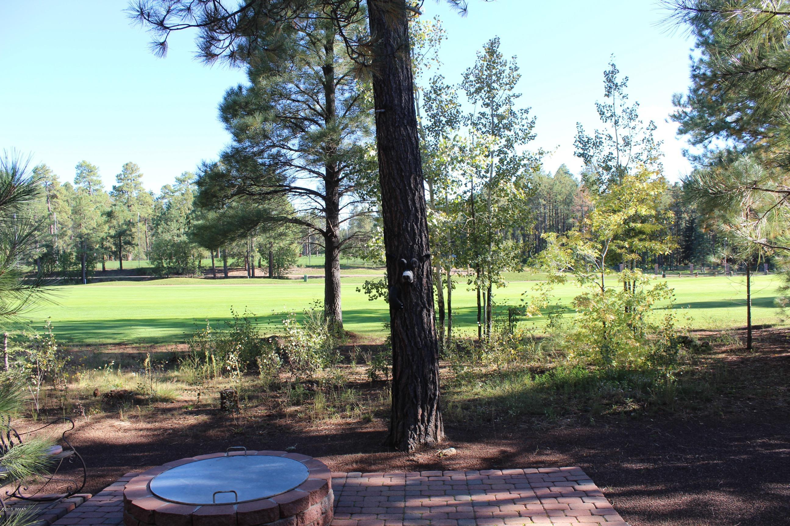 6665 Buck Springs Road Pinetop, AZ 85935 - Photo 31 of 36 Gallery Image 31