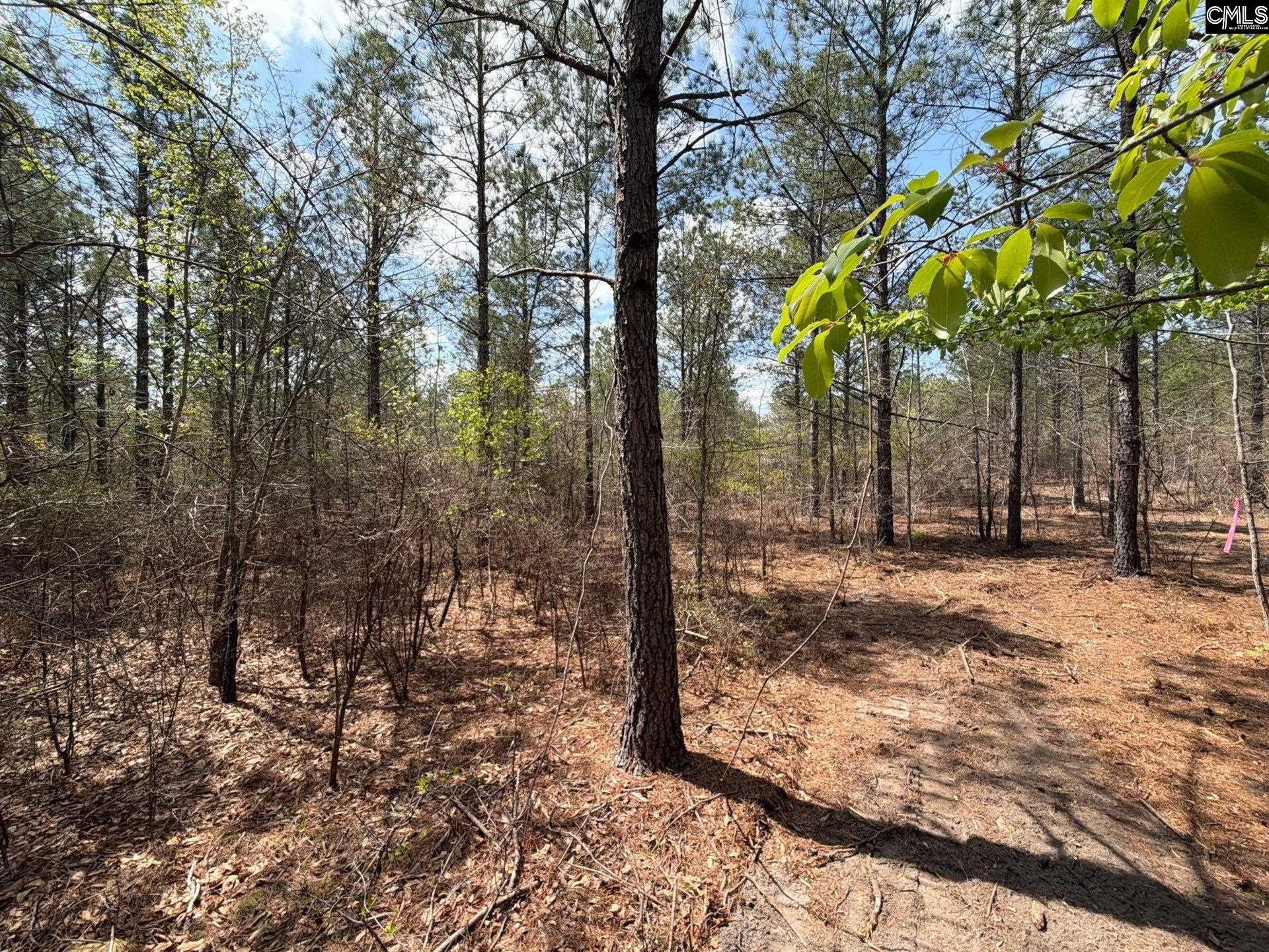 4 Mt Calvary Rd Ridge Spring Ridge Spring, SC 29129 - Photo 39 of 40