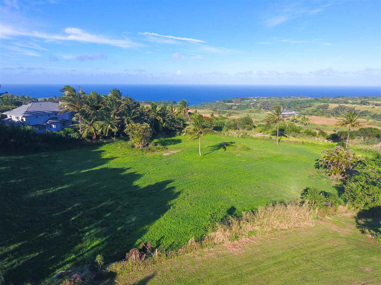 65 Uaoa Loop Haiku, HI 96708 - Photo 3 of 19 Gallery Image 3