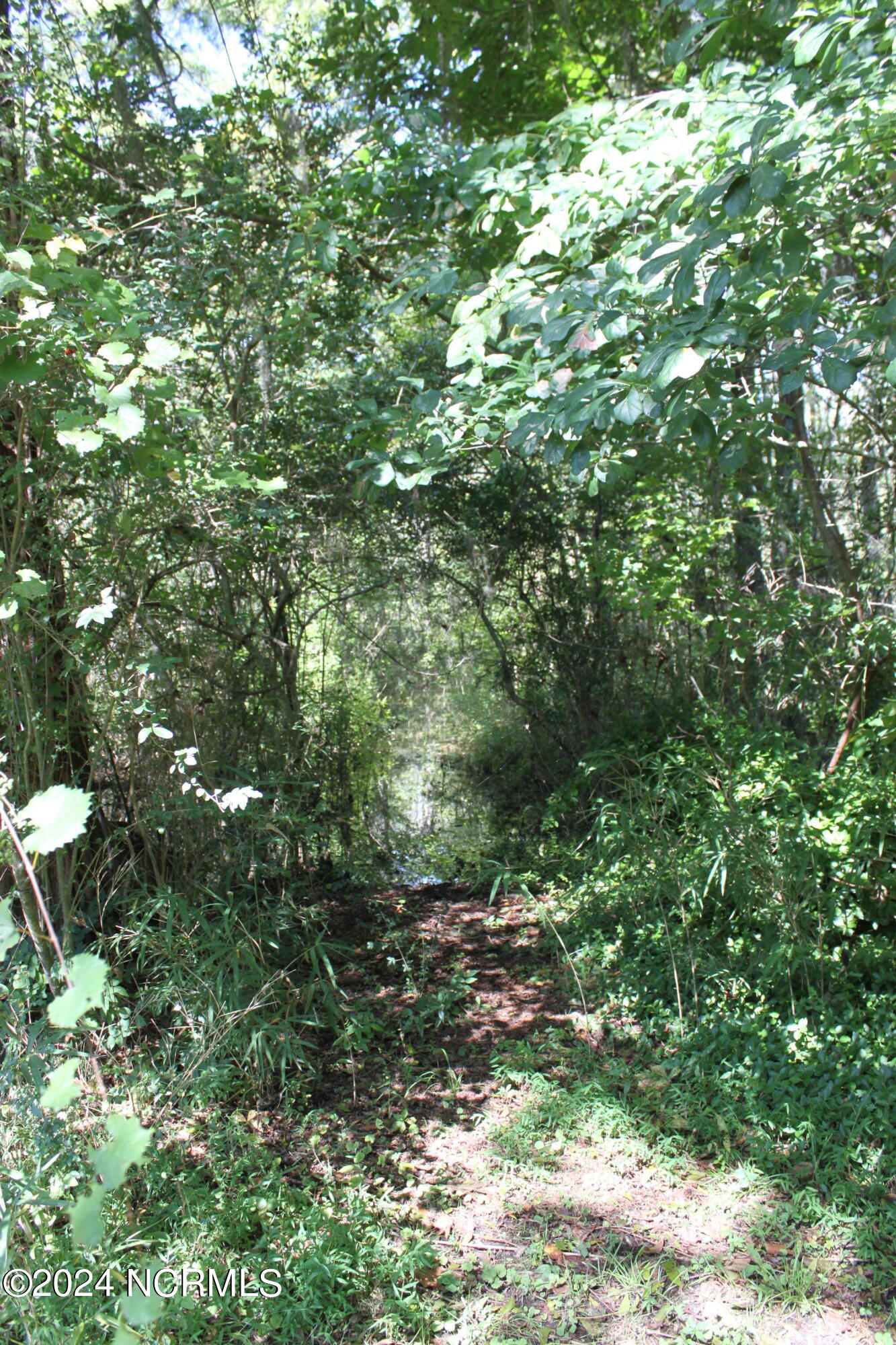 419 Cannons Ferry Road Tyner, NC 27980 - Photo 21 of 34 IMG_2366