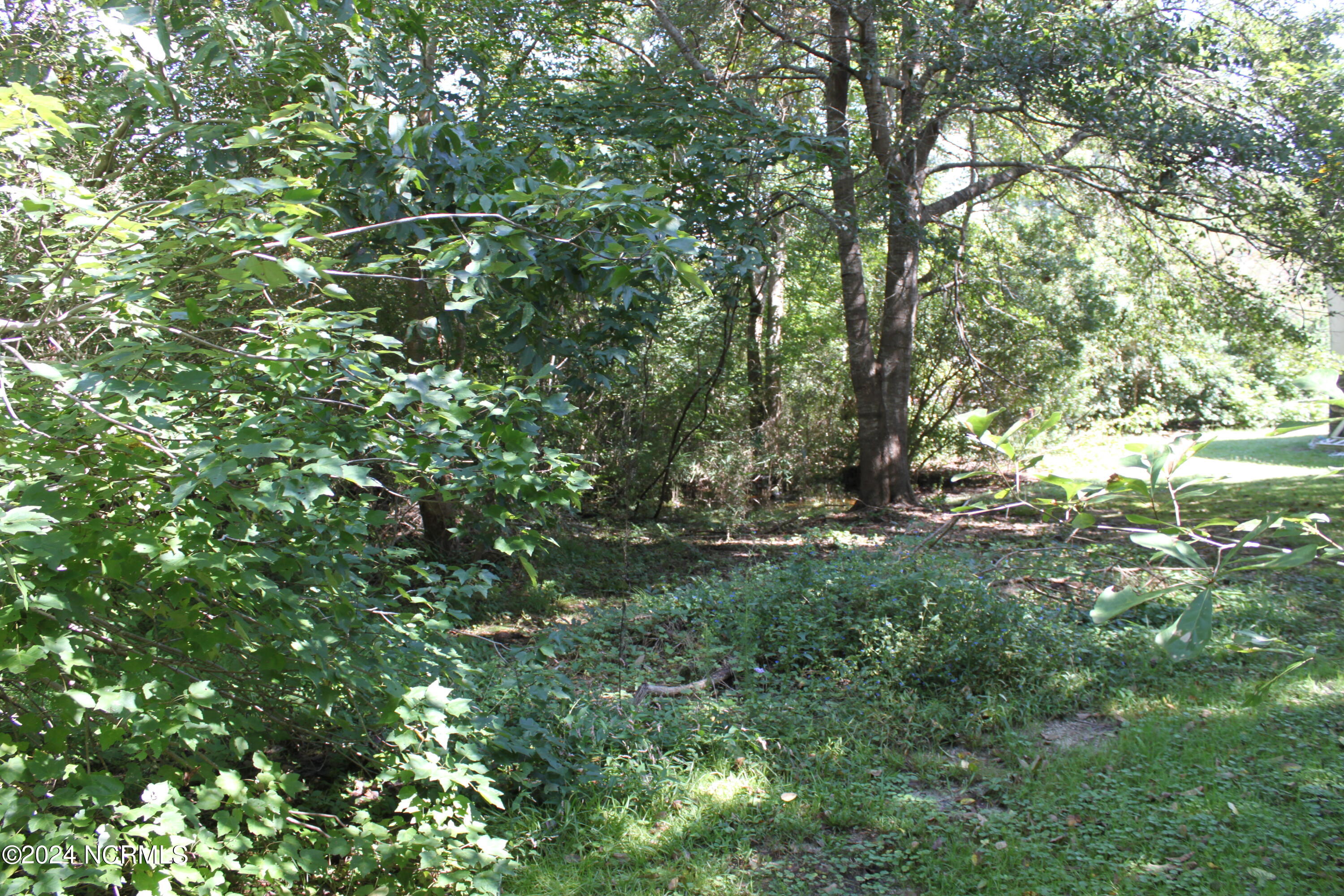 419 Cannons Ferry Road Tyner, NC 27980 - Photo 26 of 34 IMG_2372