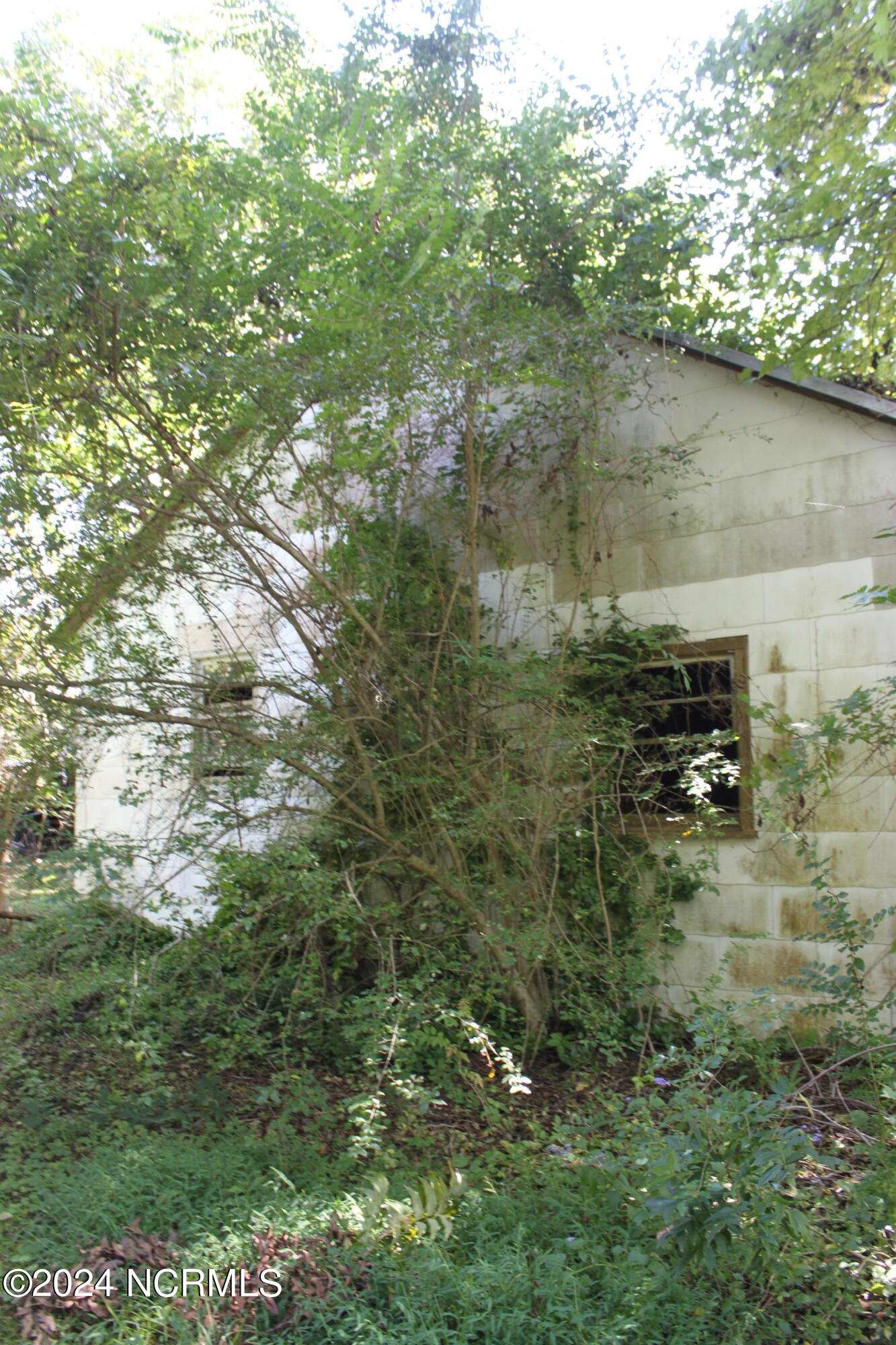 419 Cannons Ferry Road Tyner, NC 27980 - Photo 27 of 34 IMG_2373