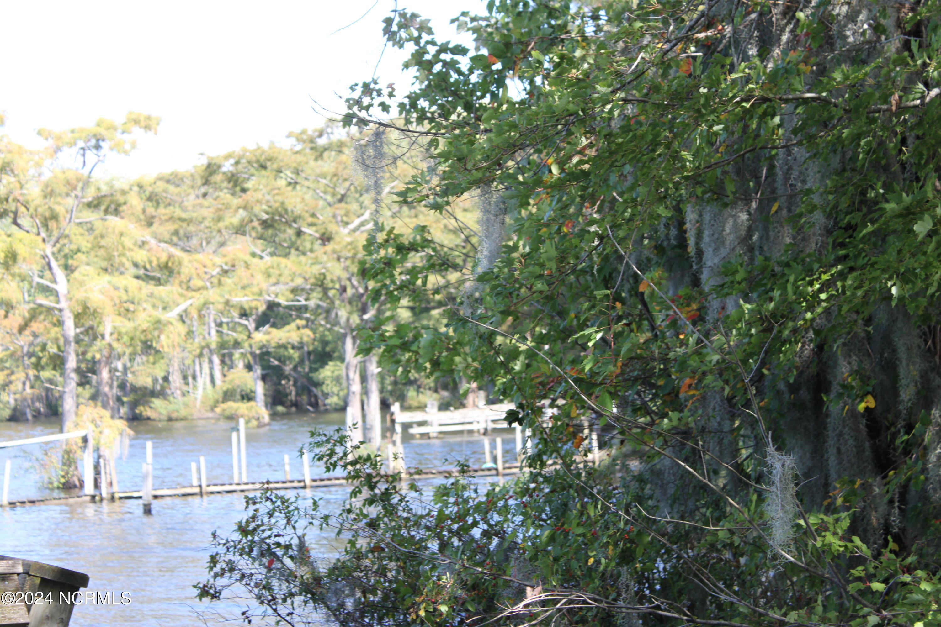 419 Cannons Ferry Road Tyner, NC 27980 - Photo 31 of 34 IMG_2389