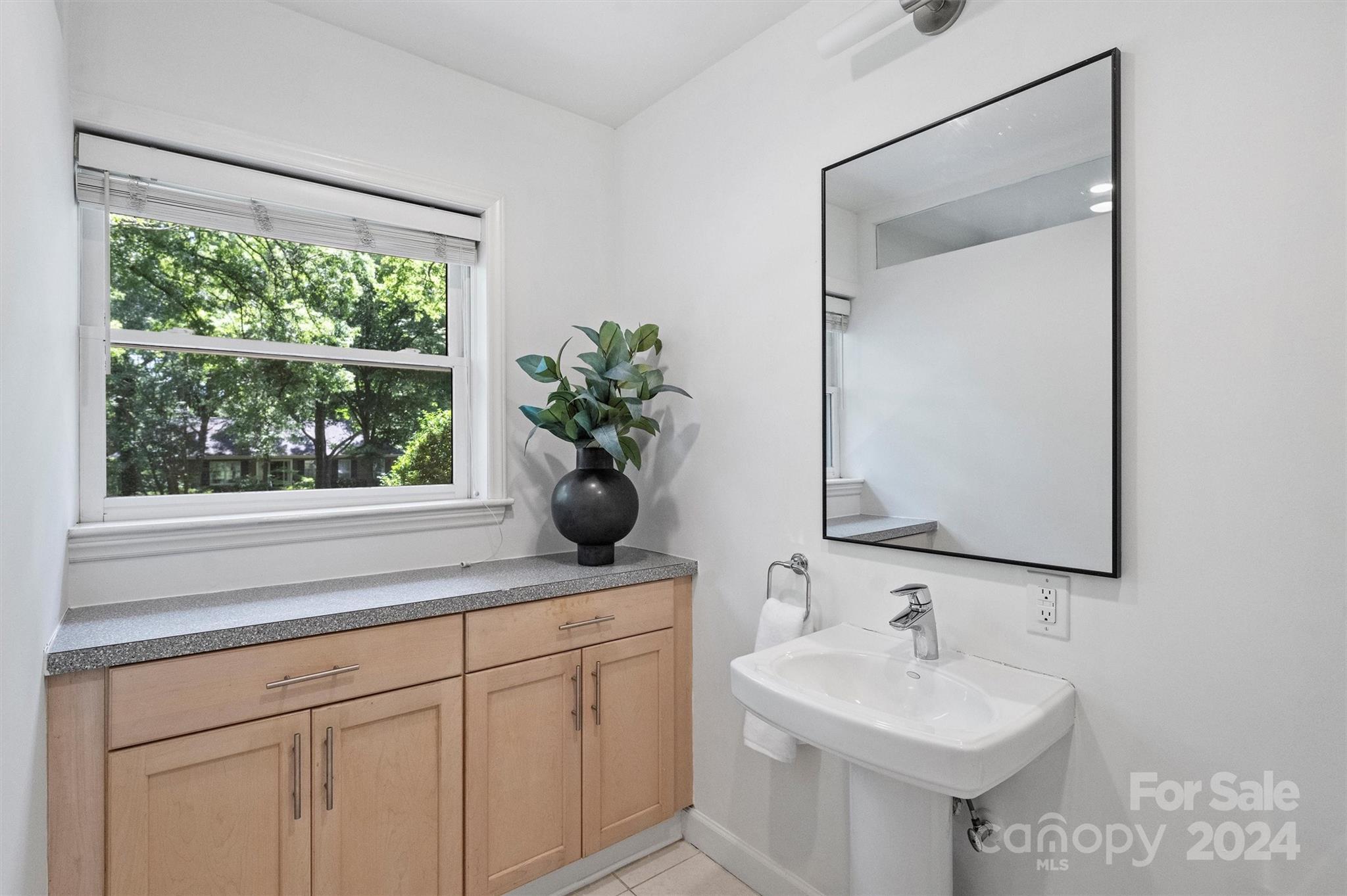 6810 Folger Drive Charlotte, NC 28270 - Photo 25 of 47 a bathroom with a sink and a mirror
