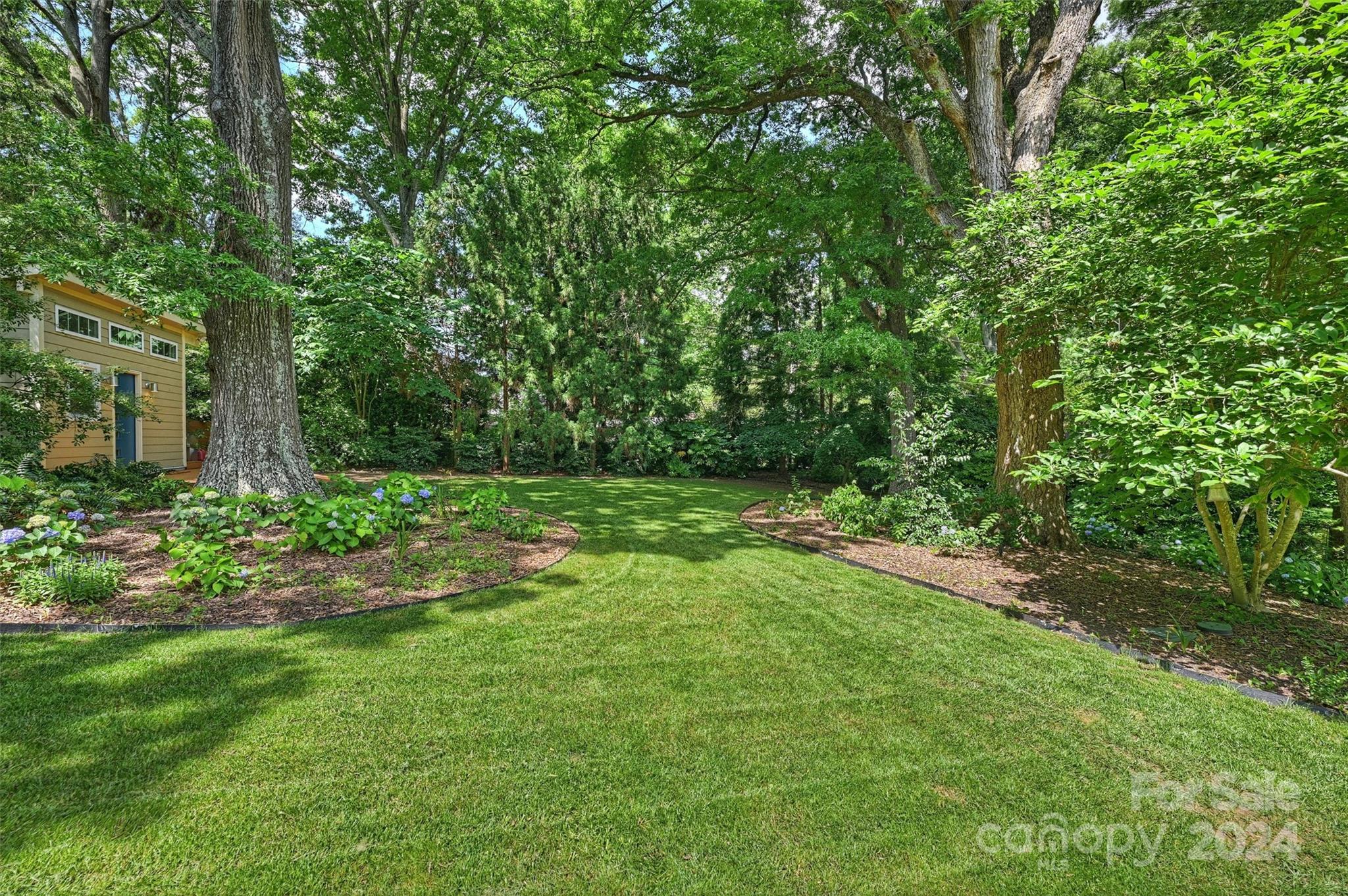 6810 Folger Drive Charlotte, NC 28270 - Photo 38 of 47 a view of a yard with plants and large trees