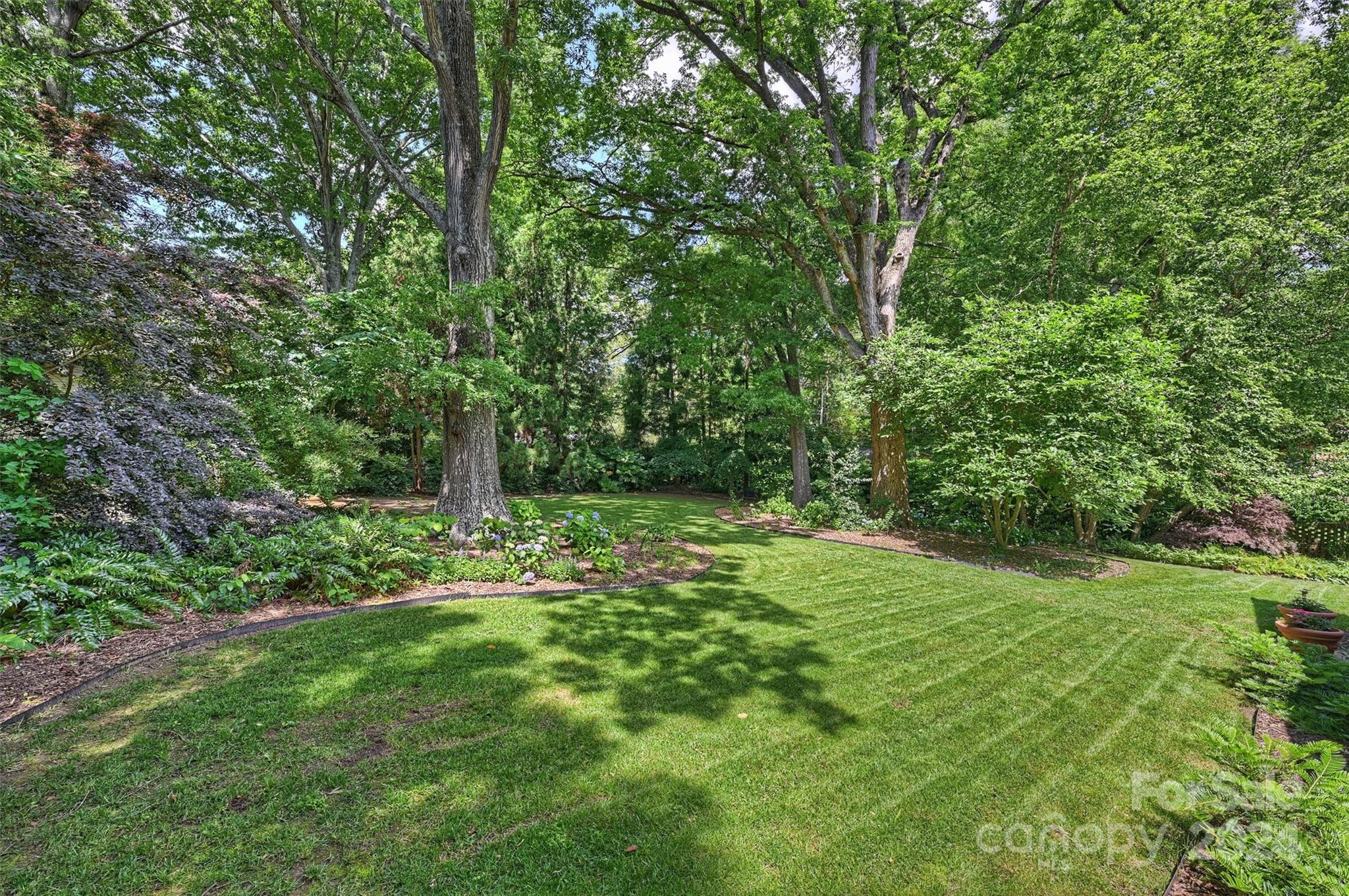 6810 Folger Drive Charlotte, NC 28270 - Photo 39 of 47 a big yard with lots of green space and plants