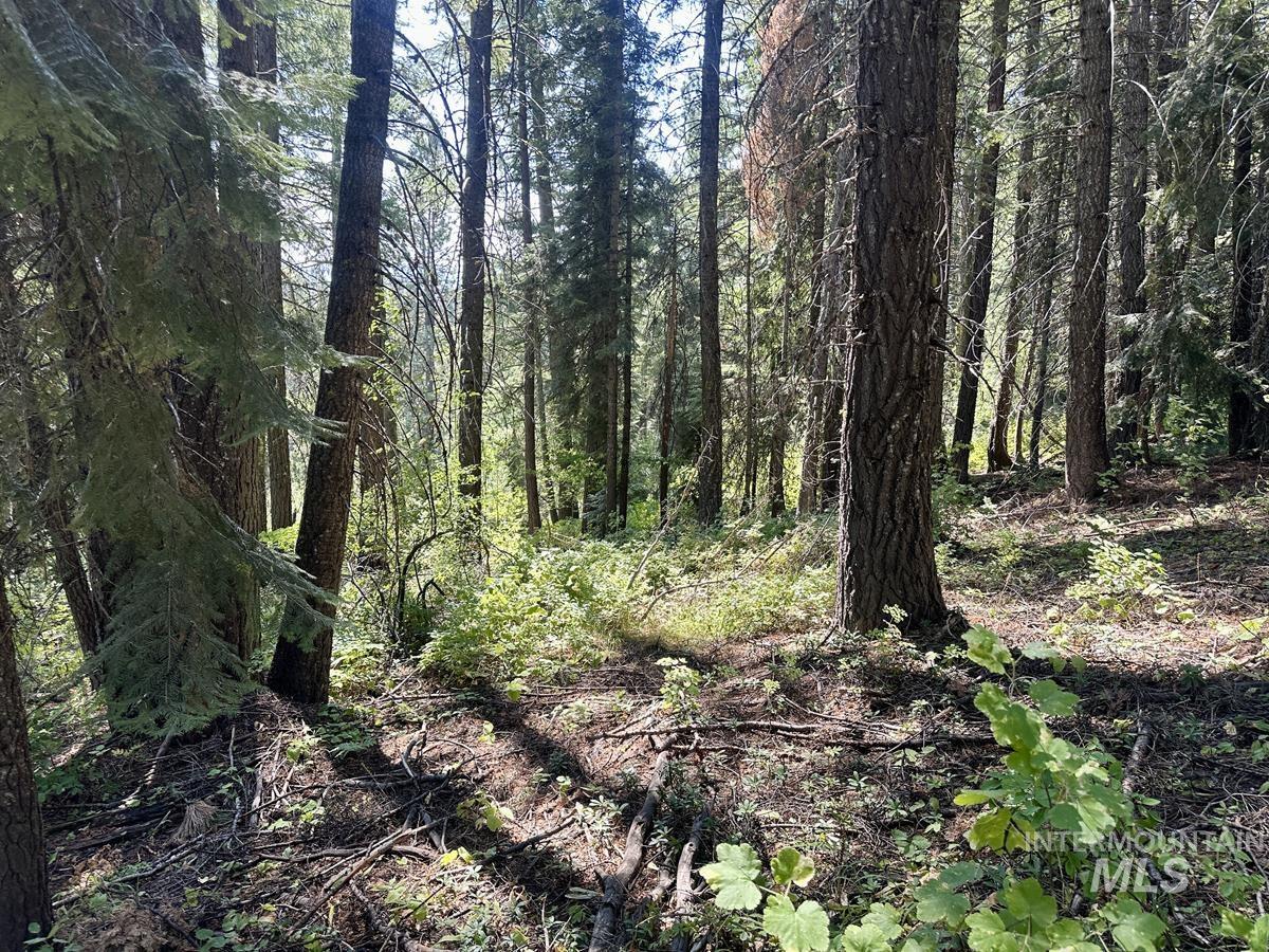 37 Arling Trail Cascade, ID 83611 - Photo 2 of 16 Close to Tamarack Resort