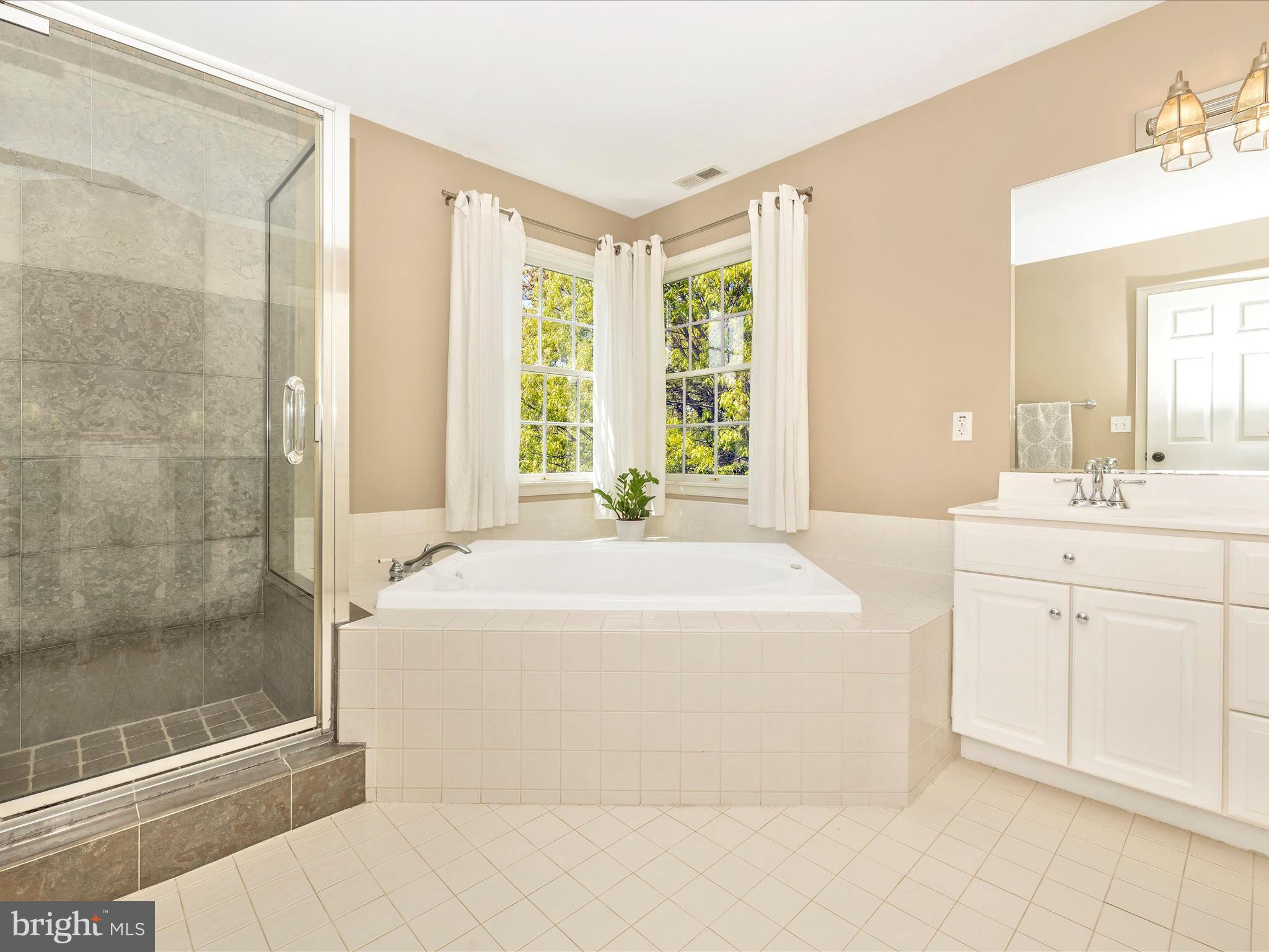 1114 Mint Terrace Westminster, MD 21157 - Photo 37 of 78 GARDEN TUB