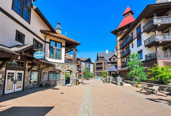 $973,000 | 780 Village Drive, Unit 412, Donnelly, ID 83615