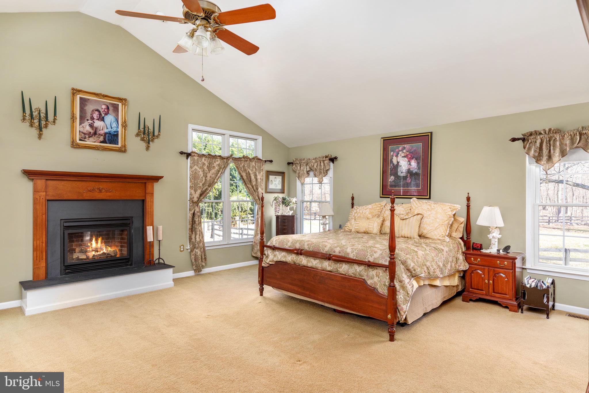 19821 Foggy Bottom Road Bluemont, VA 20135 - Photo 14 of 63 VAULTED CEILING IN OWNER'S SUITE
