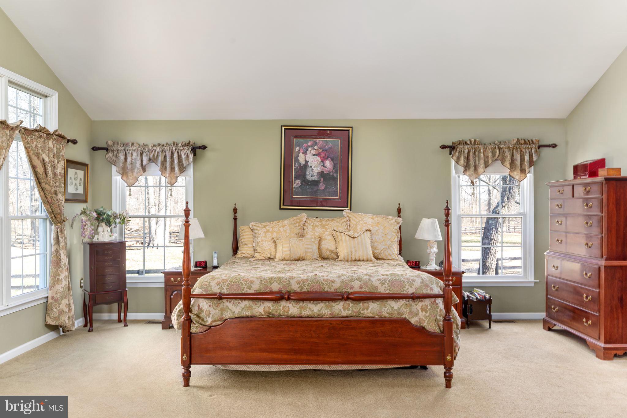19821 Foggy Bottom Road Bluemont, VA 20135 - Photo 15 of 63 OWNER'S SUITE