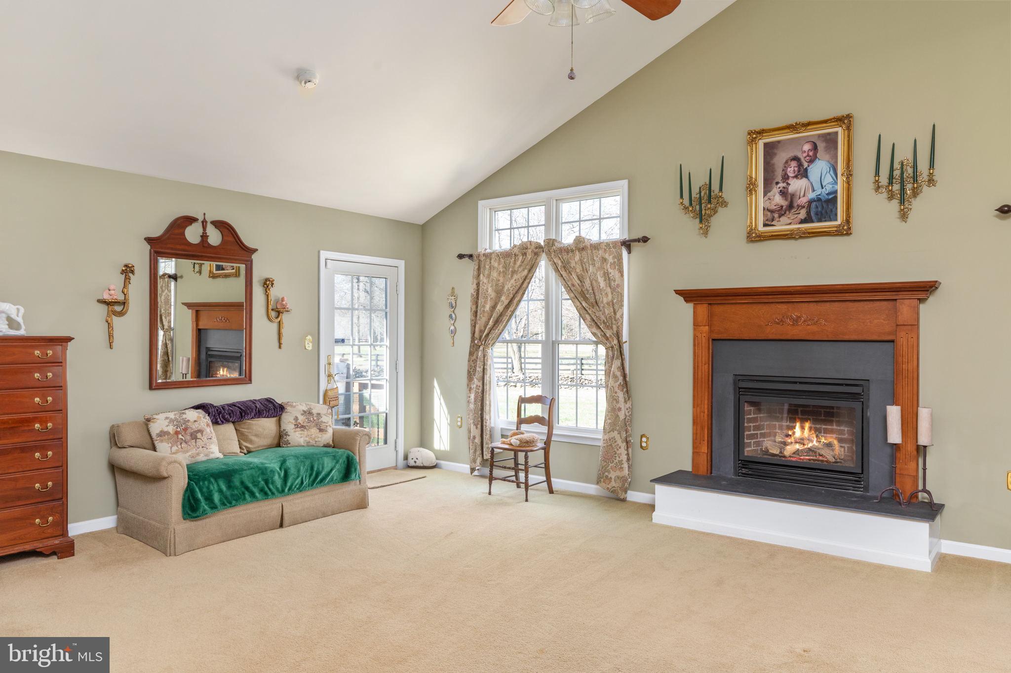 19821 Foggy Bottom Road Bluemont, VA 20135 - Photo 16 of 63 GAS FIREPLACE