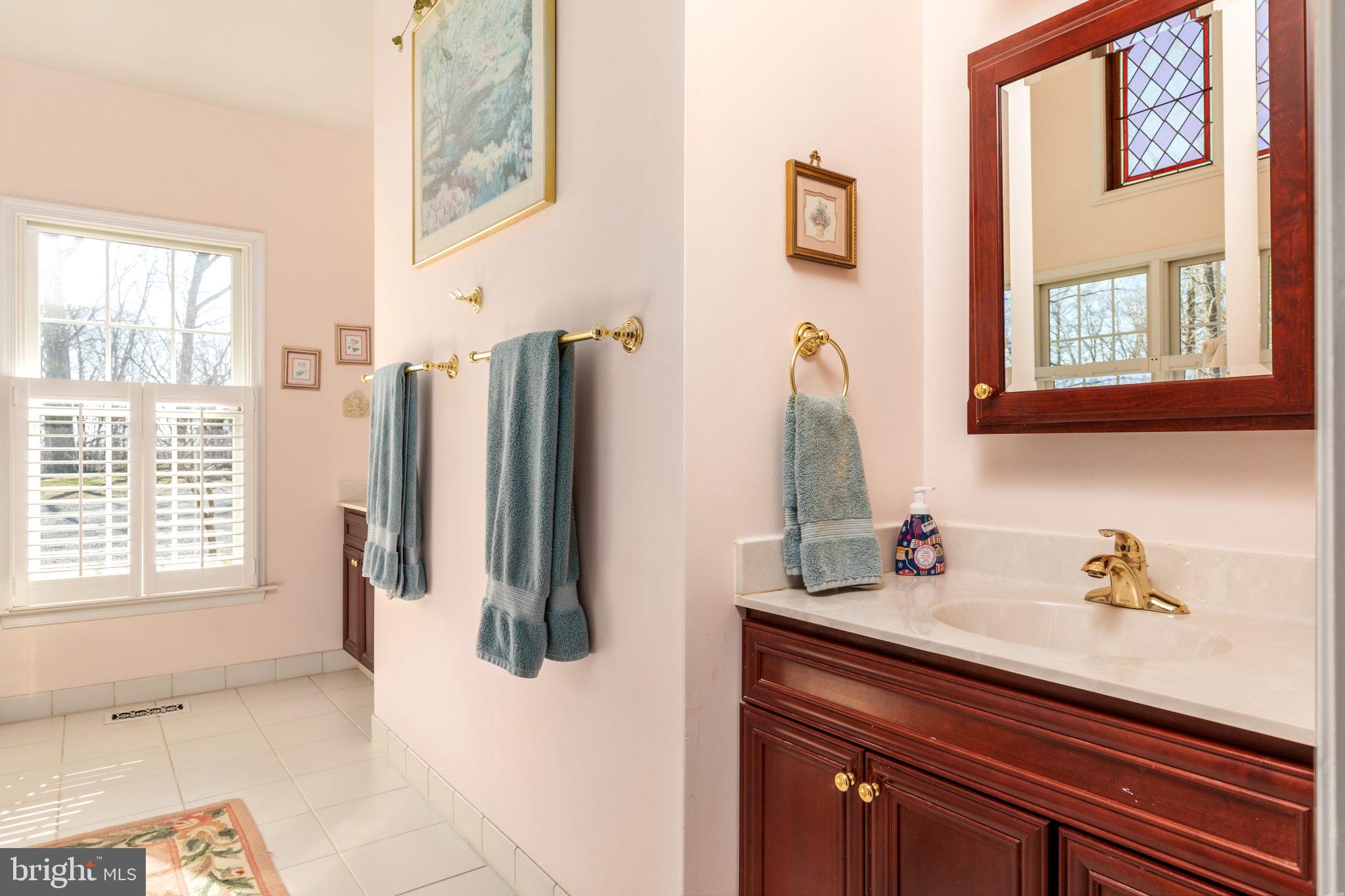 19821 Foggy Bottom Road Bluemont, VA 20135 - Photo 18 of 63 DUAL VANITIES