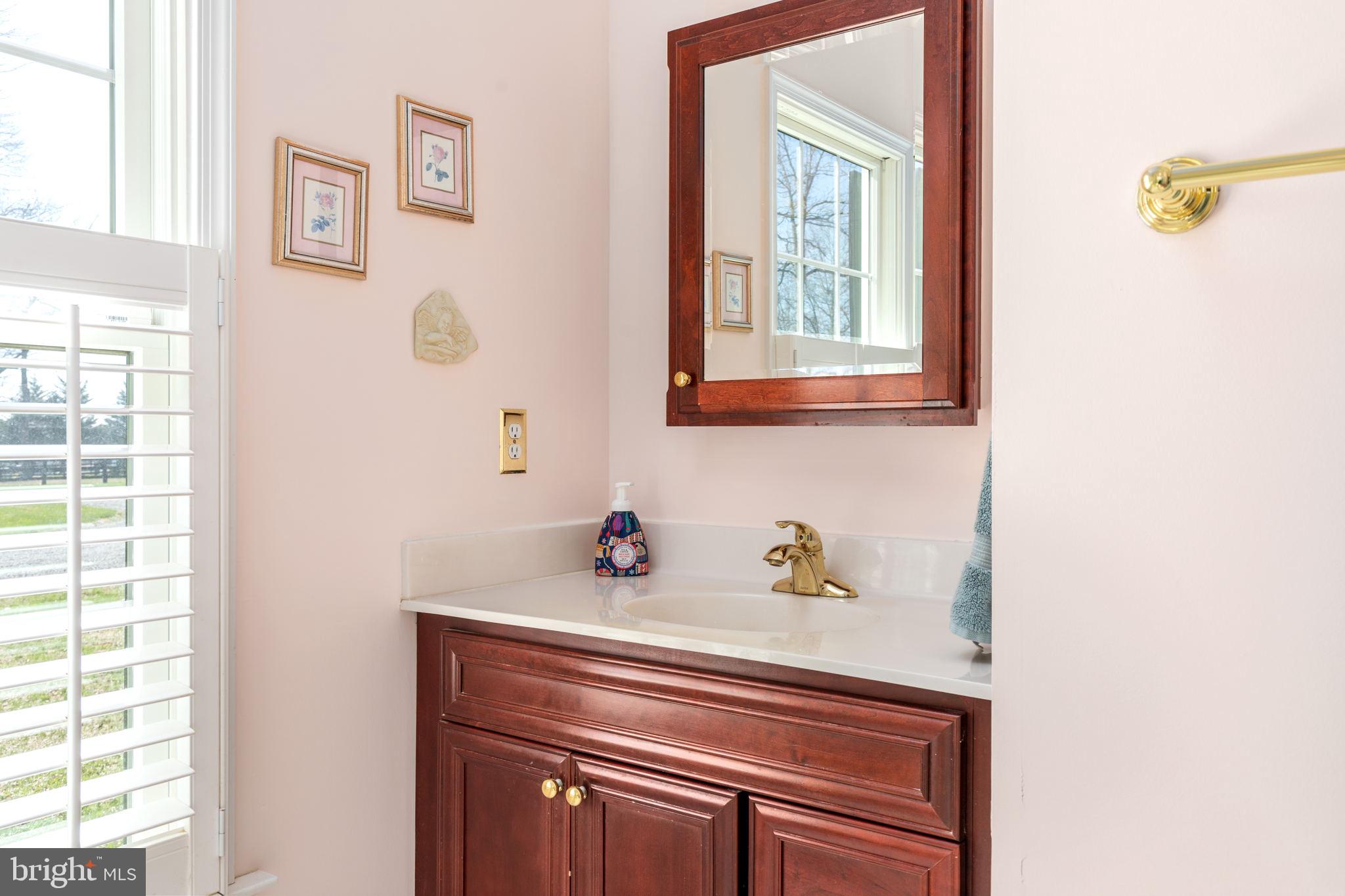 19821 Foggy Bottom Road Bluemont, VA 20135 - Photo 19 of 63 OWNER'S BATH HAS SEPARATED DOUBLE SINKS