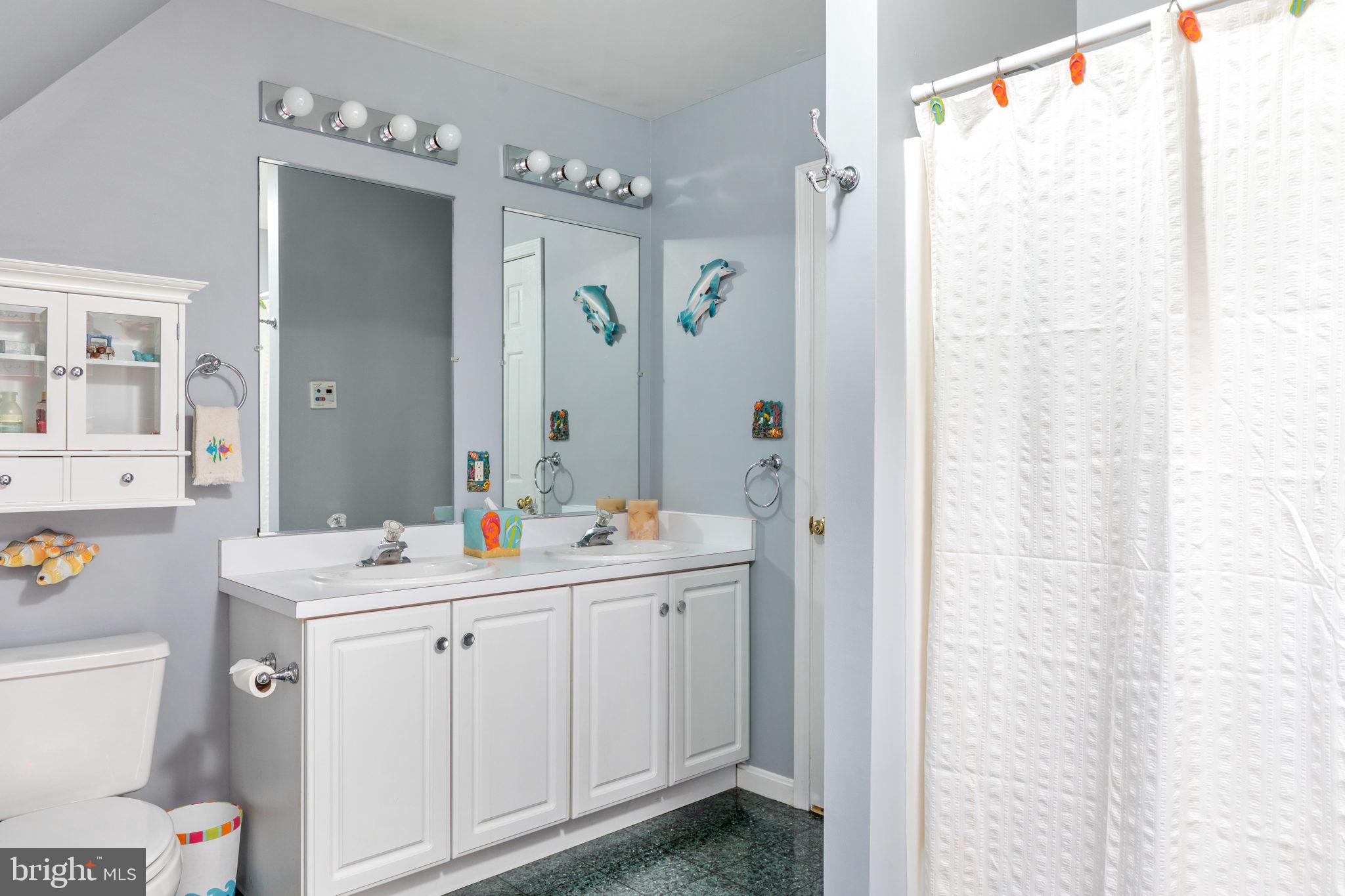 19821 Foggy Bottom Road Bluemont, VA 20135 - Photo 26 of 63 SHARED HALL BATH