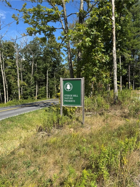 568 Steege Hill Road Big Flats, NY 14830 - Photo 43 of 46