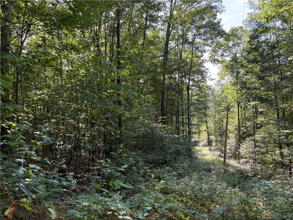 568 Steege Hill Road Big Flats, NY 14830 - Photo 44 of 46