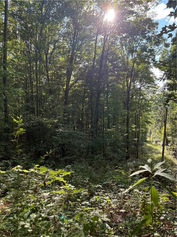 568 Steege Hill Road Big Flats, NY 14830 - Photo 45 of 46