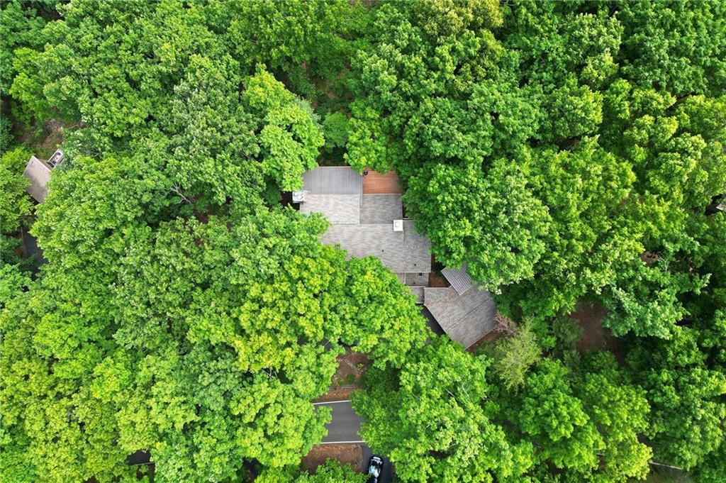 275 Ridgeview Drive Jasper, GA 30143 - Photo 41 of 59