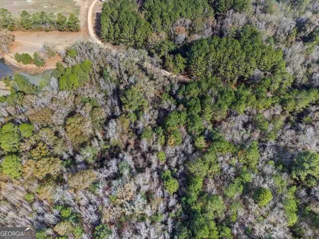 a view of a garden with a lake