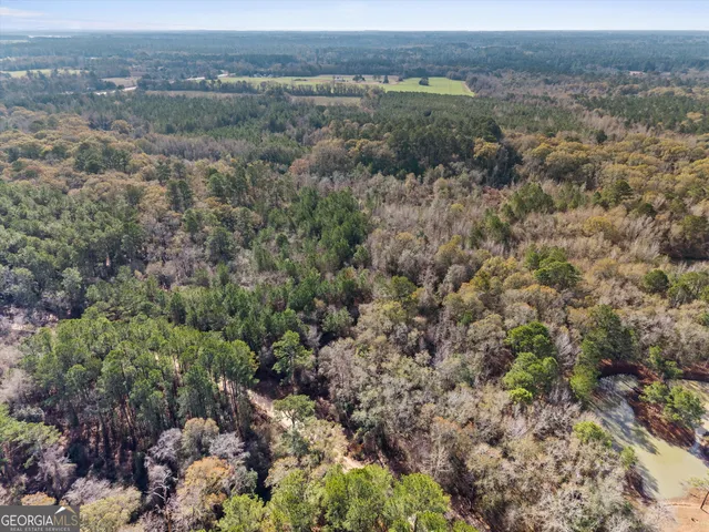 an aerial view of a houses with a lush green hillside