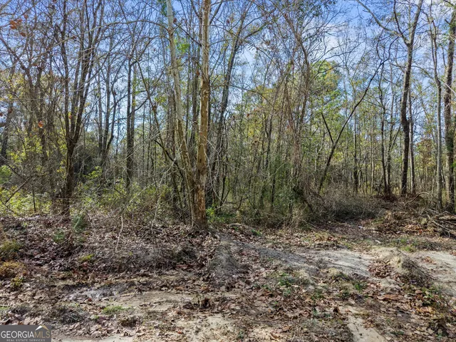 a view of outdoor space and tree