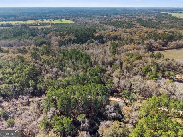 an aerial view of forest