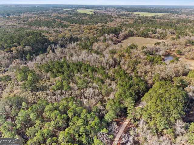 an aerial view of residential houses with outdoor space and trees