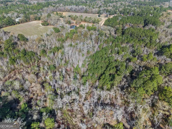 a view of a field with a tree