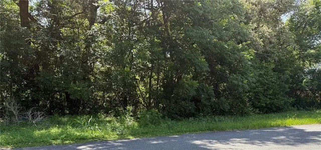 $95,000 | Hutchinson Way, Lady Lake, FL 32159