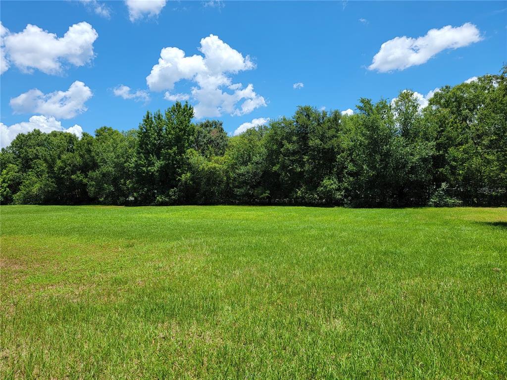 2351 Canoe Creek Road St. Cloud, FL 34769 - Photo 11 of 15