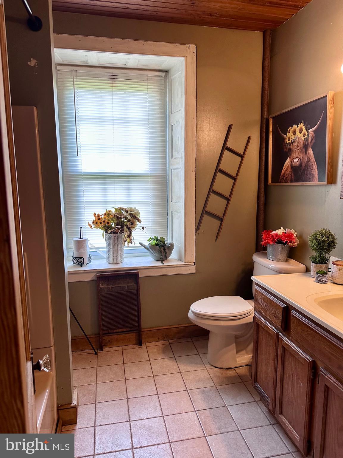 107 Jalappa Road Hamburg, PA 19526 - Photo 31 of 42 a bathroom with a toilet a sink and a mirror