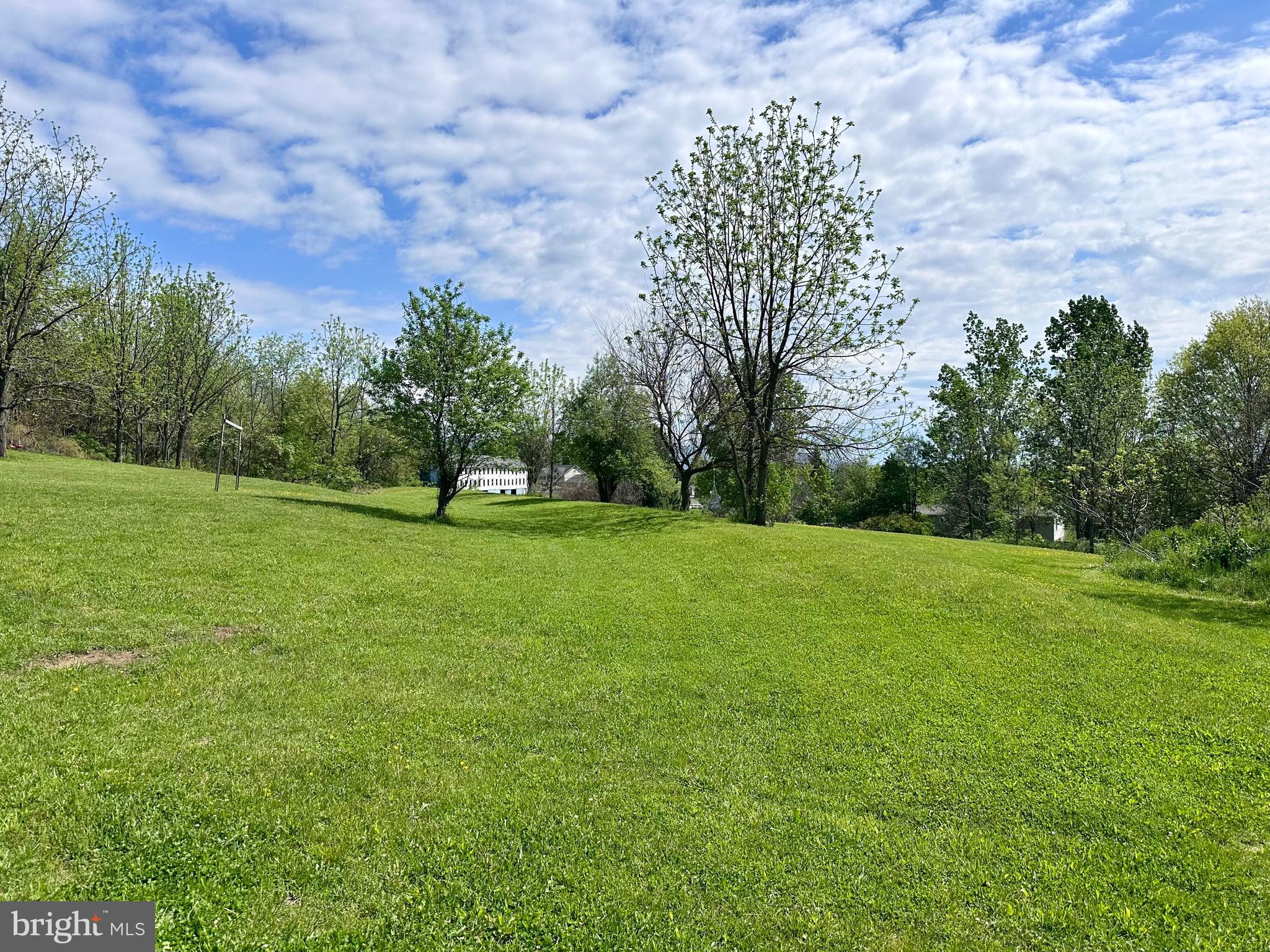 107 Jalappa Road Hamburg, PA 19526 - Photo 7 of 42 a view of grassy field with trees