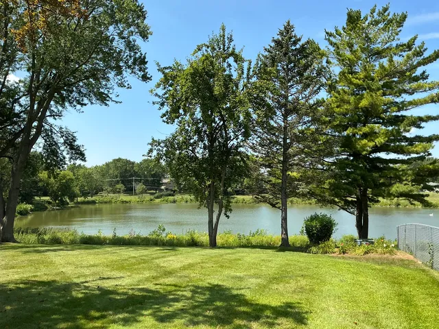 a garden with trees in front of it