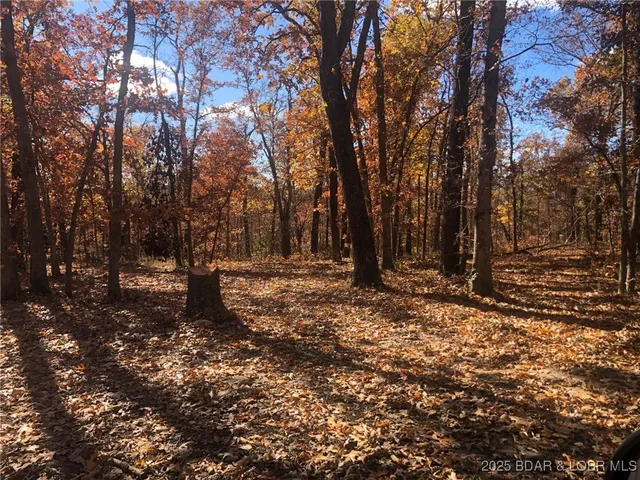 $239,500 | Estates Drive, Versailles, MO 65084