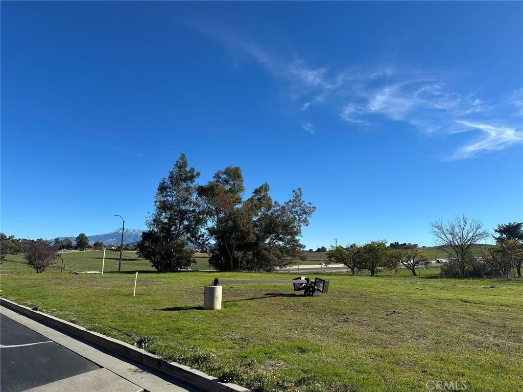 a view of a park with large trees