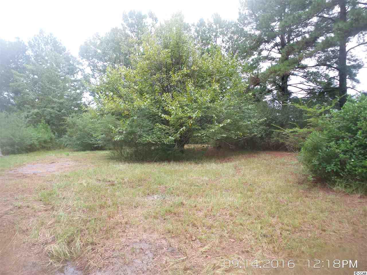 462 Old Pireway Road Conway, SC 29526 - Photo 11 of 20 Gallery Image 11