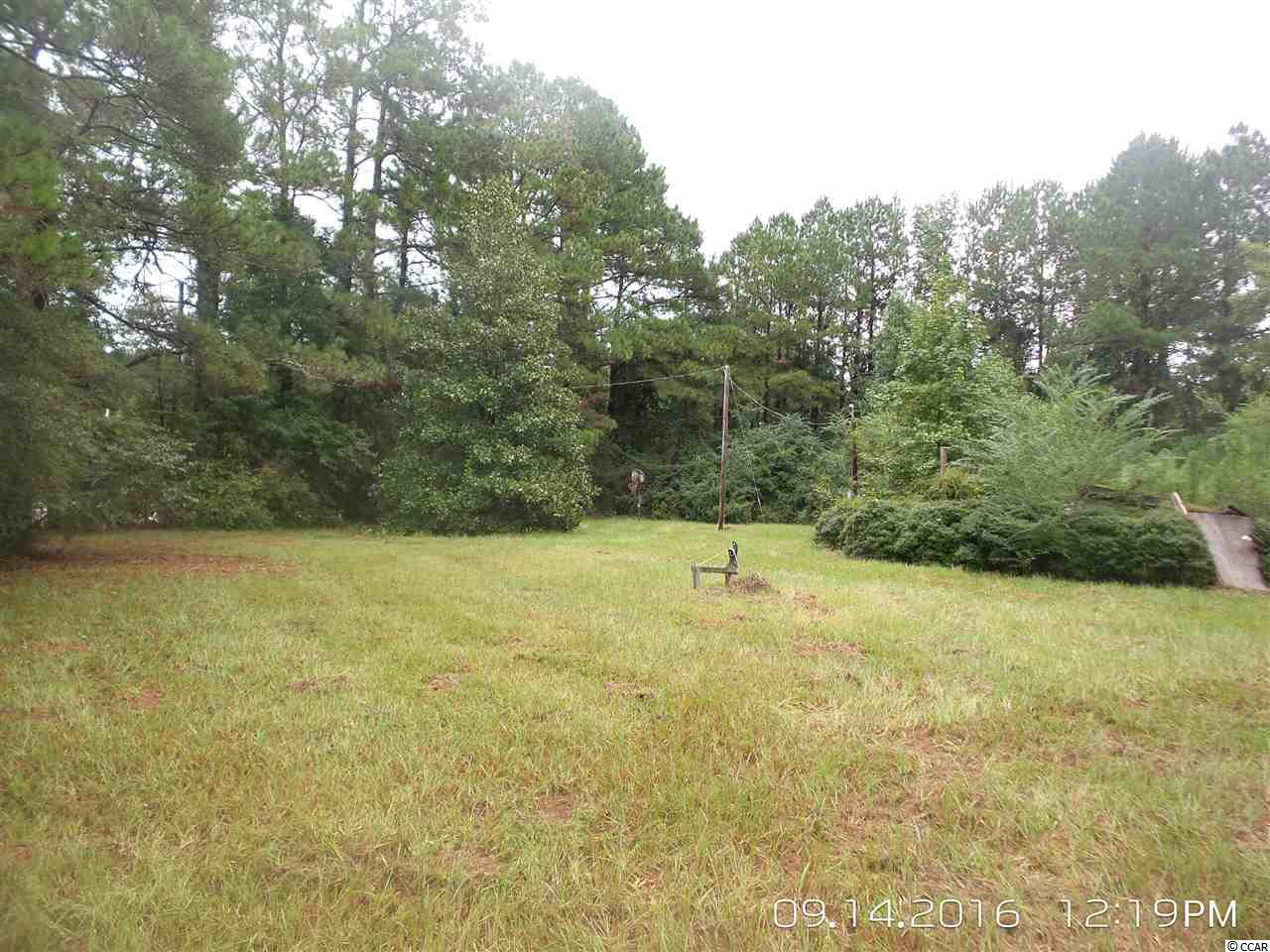 462 Old Pireway Road Conway, SC 29526 - Photo 13 of 20 Gallery Image 13