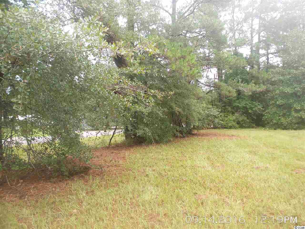 462 Old Pireway Road Conway, SC 29526 - Photo 15 of 20 Gallery Image 15
