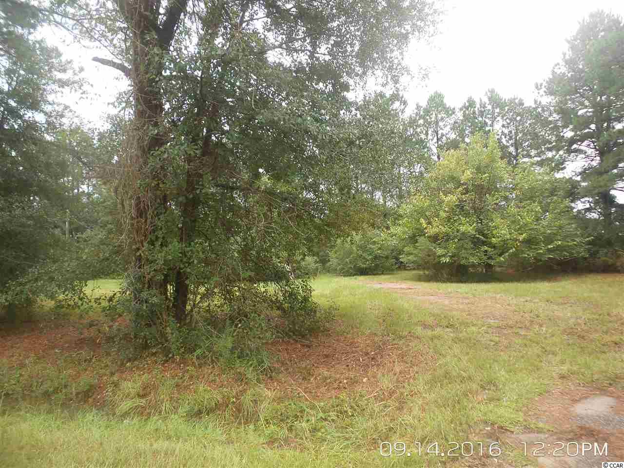 462 Old Pireway Road Conway, SC 29526 - Photo 16 of 20 Gallery Image 16