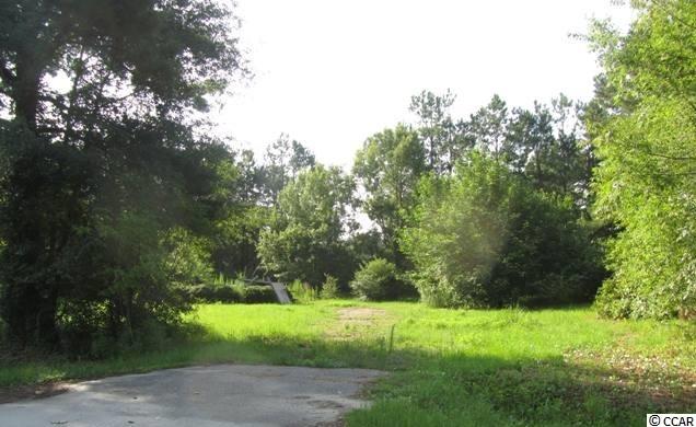 462 Old Pireway Road Conway, SC 29526 - Photo 17 of 20 Gallery Image 17