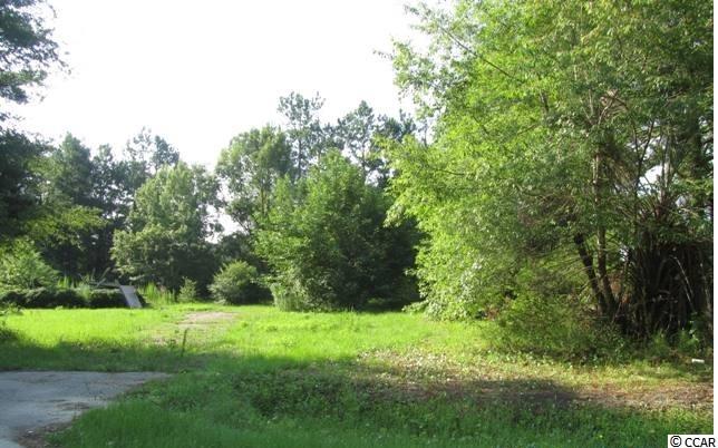 462 Old Pireway Road Conway, SC 29526 - Photo 19 of 20 Gallery Image 19