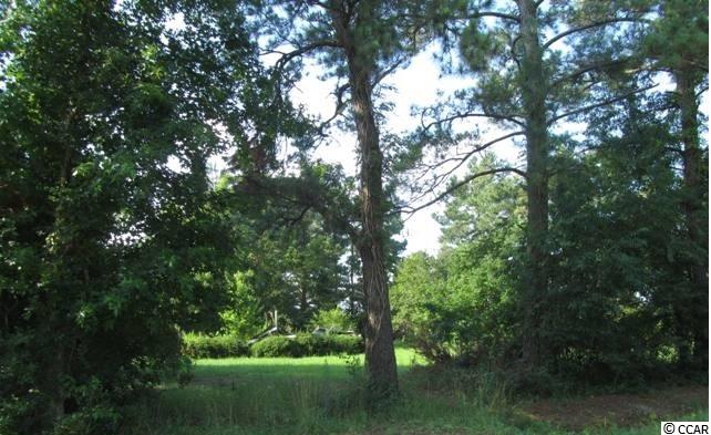 462 Old Pireway Road Conway, SC 29526 - Photo 20 of 20 Gallery Image 20