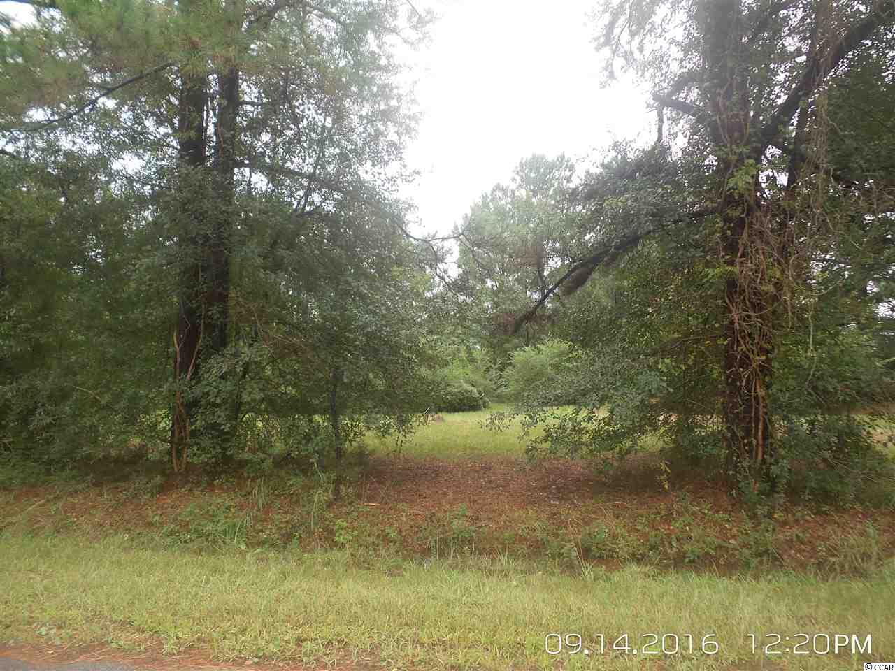 462 Old Pireway Road Conway, SC 29526 - Photo 3 of 20 Gallery Image 3
