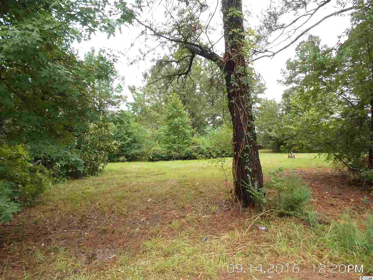 462 Old Pireway Road Conway, SC 29526 - Photo 4 of 20 Gallery Image 4