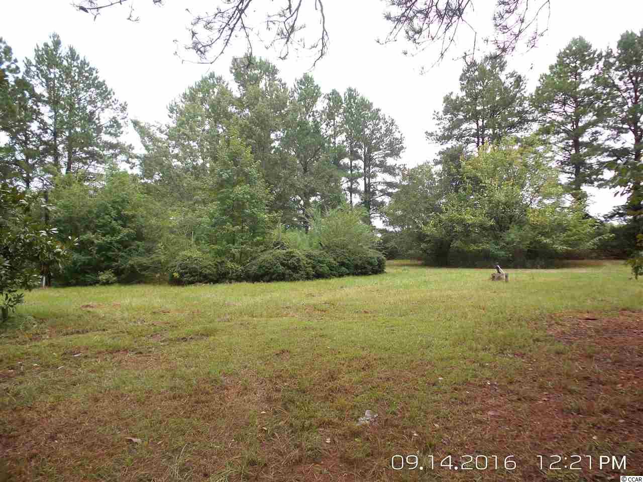 462 Old Pireway Road Conway, SC 29526 - Photo 5 of 20 Gallery Image 5